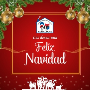 Feliz Navidad