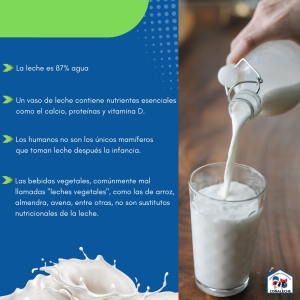 DATOS CURIOSOS SOBRE LA LECHE