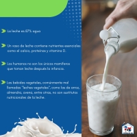 DATOS CURIOSOS SOBRE LA LECHE