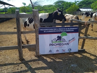 Técnicos del Proyecto PROMEGAN visitan finca