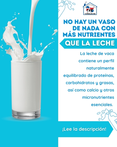 NO HAY UN VASO DE NADA CON MÁS NUTRIENTES QUE LA LECHE