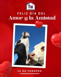 FELIZ DÍA DEL AMOR Y LA AMISTAD