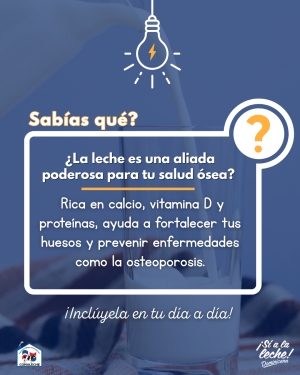 BENEFICIOS DE LA LECHE EN LA SALUD ÓSEA