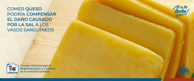 Comer queso podría compensar el daño causado por la sal a los vasos sanguíneos