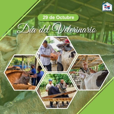 DIA DEL VETERINARIO