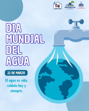 DÍA MUNDIAL DEL AGUA
