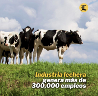 Industria lechera genera más de 300,000 empleos